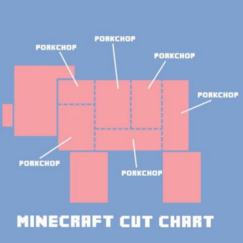 Boys Minecraft Porkchop Cut chart Light Blue shirt